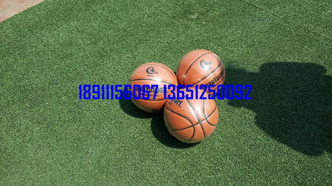 籃球，小籃球，少年籃球