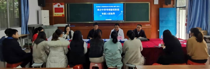 專家解惑，校本研修