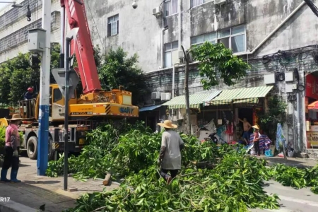 西區(qū)街道：開展全路域環(huán)境整治，助力文明城市創(chuàng)建