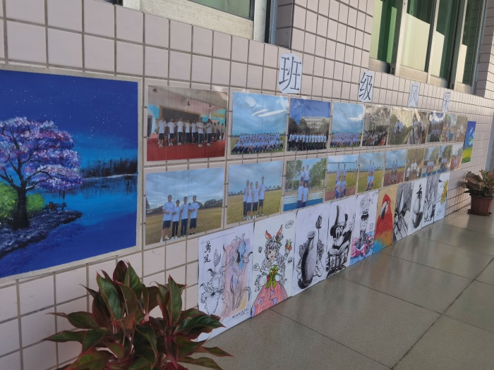 放飛青春夢想，展示特色風采