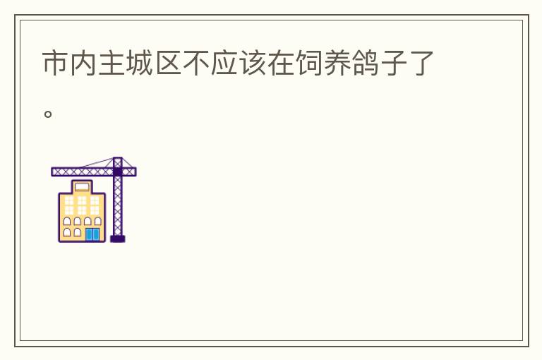 市內(nèi)主城區(qū)不應(yīng)該在飼養(yǎng)鴿子了。