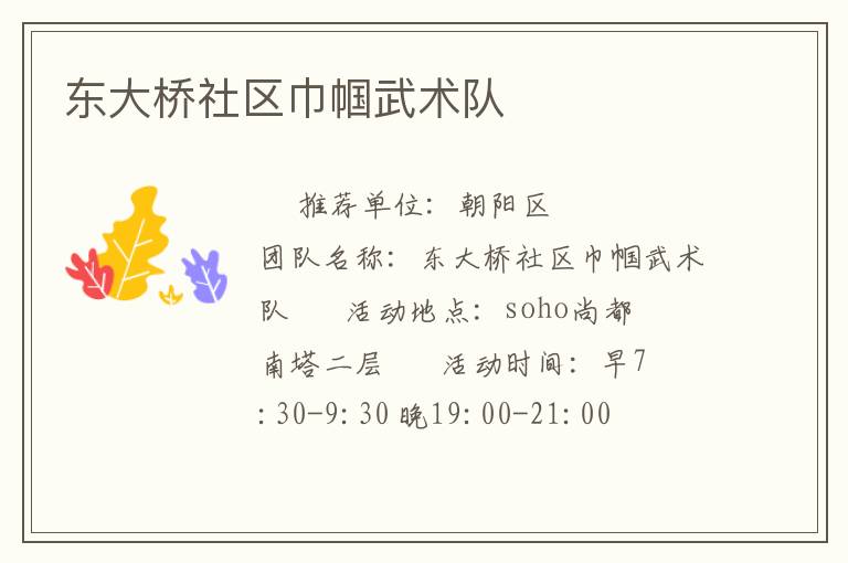 東大橋社區(qū)巾幗武術(shù)隊