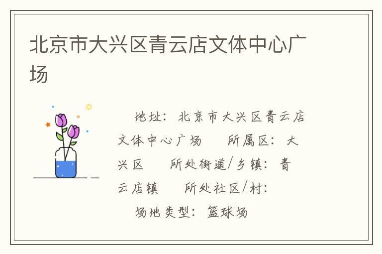 北京市大興區(qū)青云店文體中心廣場 北京市大興區(qū)青云店文體中心廣場