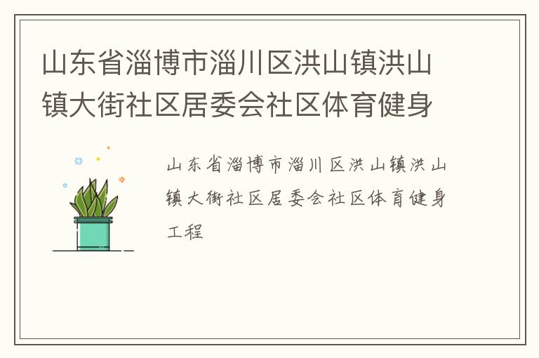 山東省淄博市淄川區(qū)洪山鎮(zhèn)洪山鎮(zhèn)大街社區(qū)居委會(huì)社區(qū)體育健身工程