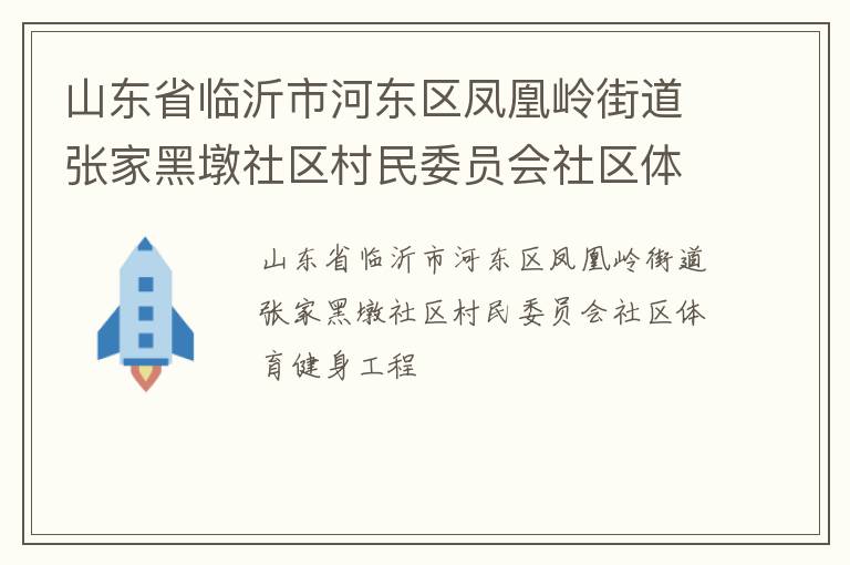 山東省臨沂市河?xùn)|區(qū)鳳凰嶺街道張家黑墩社區(qū)村民委員會(huì)社區(qū)體育健身工程