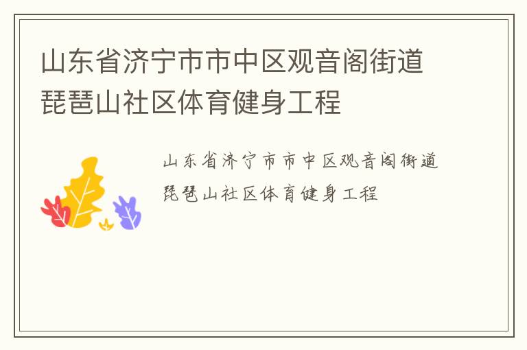 山東省濟寧市市中區(qū)觀音閣街道琵琶山社區(qū)體育健身工程