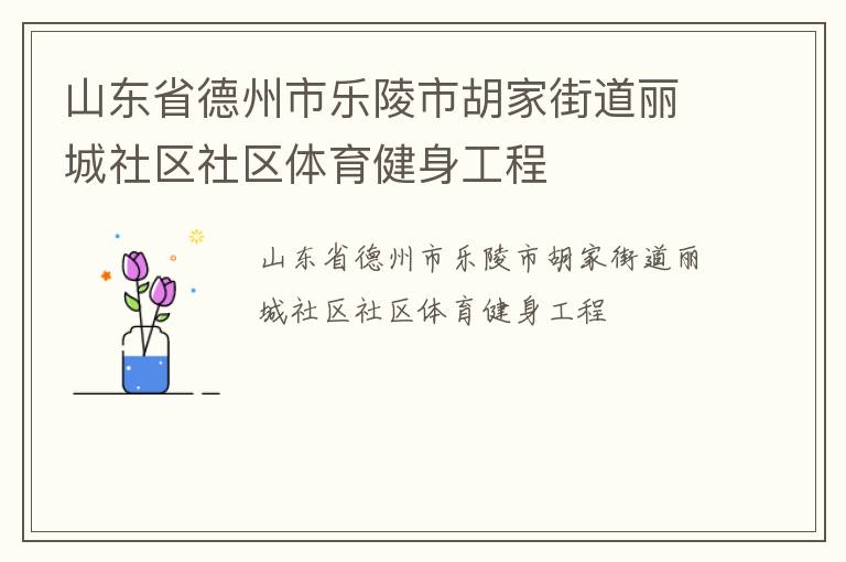 山東省德州市樂(lè)陵市胡家街道麗城社區(qū)社區(qū)體育健身工程