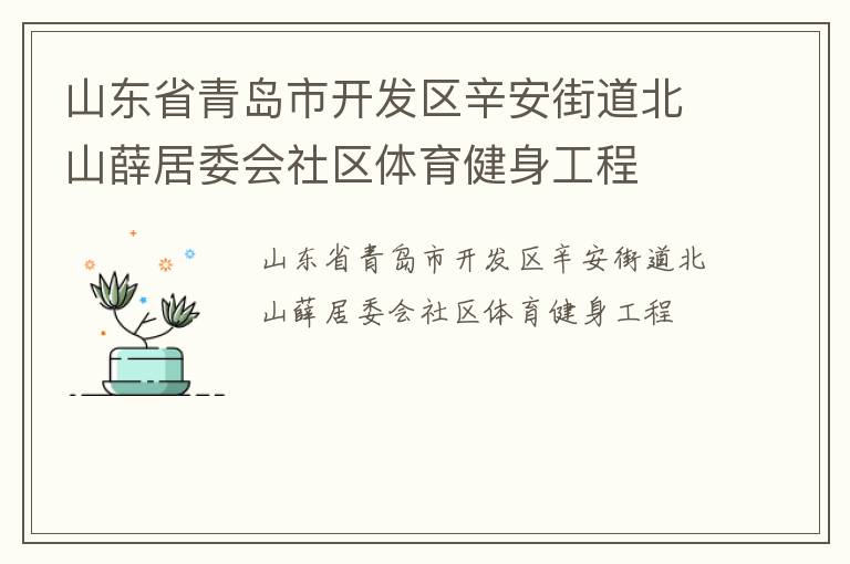 山東省青島市開發(fā)區(qū)辛安街道北山薛居委會社區(qū)體育健身工程
