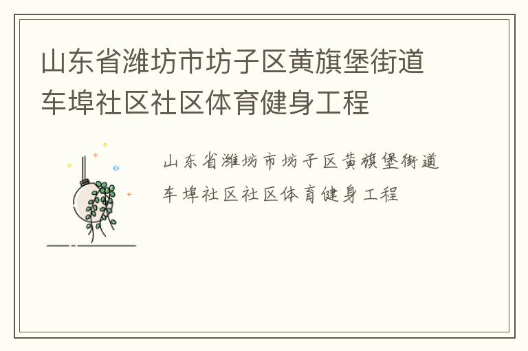 山東省濰坊市坊子區(qū)黃旗堡街道車(chē)埠社區(qū)社區(qū)體育健身工程