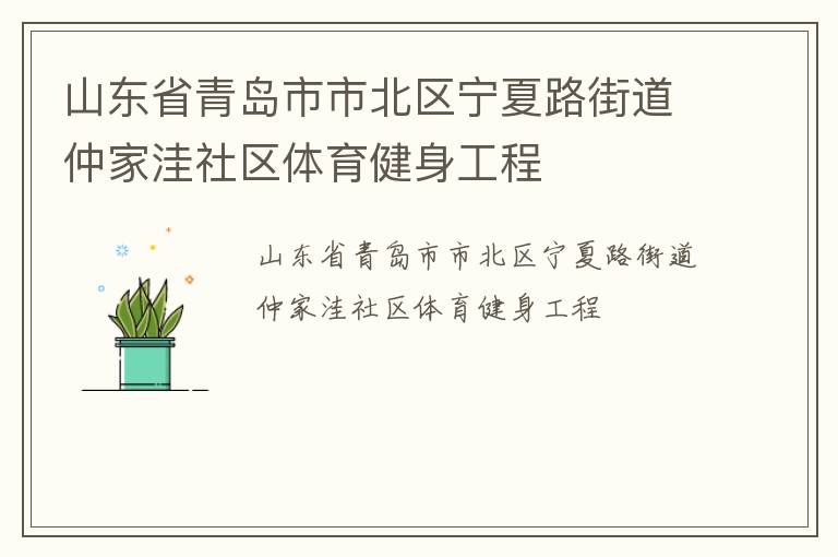 山東省青島市市北區(qū)寧夏路街道仲家洼社區(qū)體育健身工程