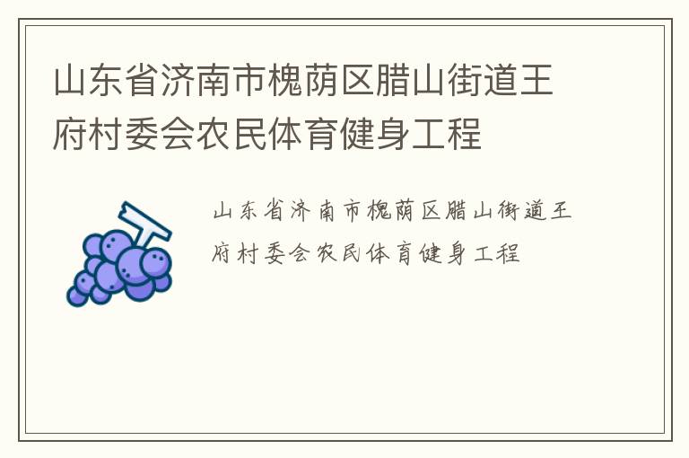 山東省濟(jì)南市槐蔭區(qū)臘山街道王府村委會(huì)農(nóng)民體育健身工程