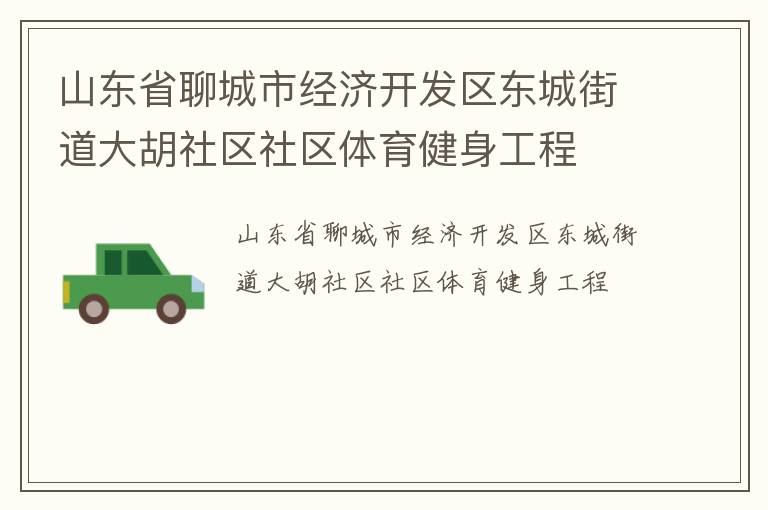 山東省聊城市經濟開發(fā)區(qū)東城街道大胡社區(qū)社區(qū)體育健身工程