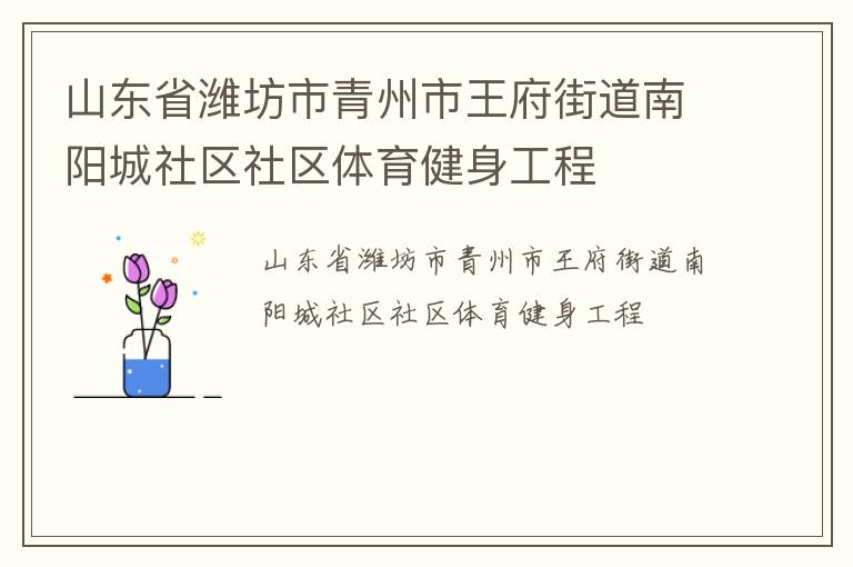 山東省濰坊市青州市王府街道南陽城社區(qū)社區(qū)體育健身工程