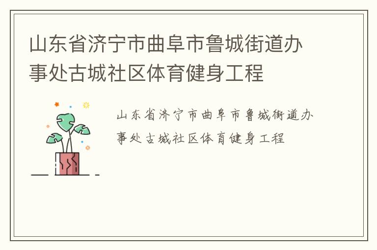 山東省濟寧市曲阜市魯城街道辦事處古城社區(qū)體育健身工程