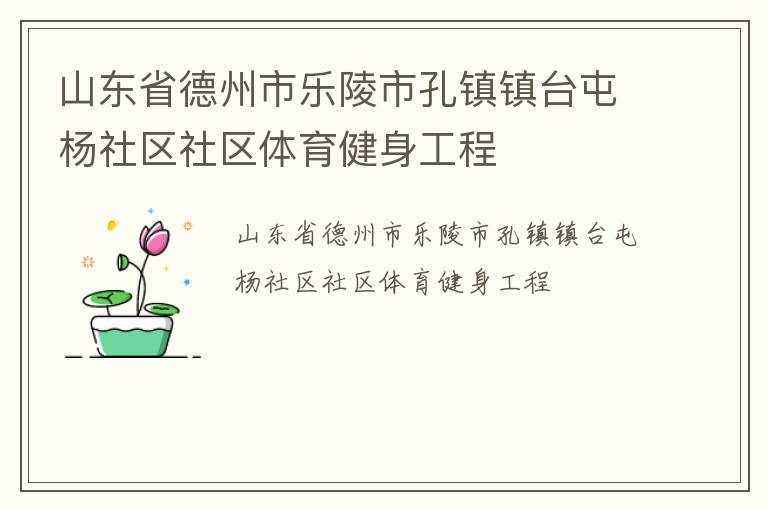 山東省德州市樂(lè)陵市孔鎮(zhèn)鎮(zhèn)臺(tái)屯楊社區(qū)社區(qū)體育健身工程