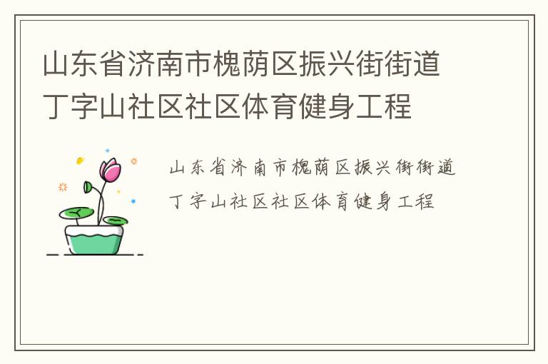 山東省濟南市槐蔭區(qū)振興街街道丁字山社區(qū)社區(qū)體育健身工程