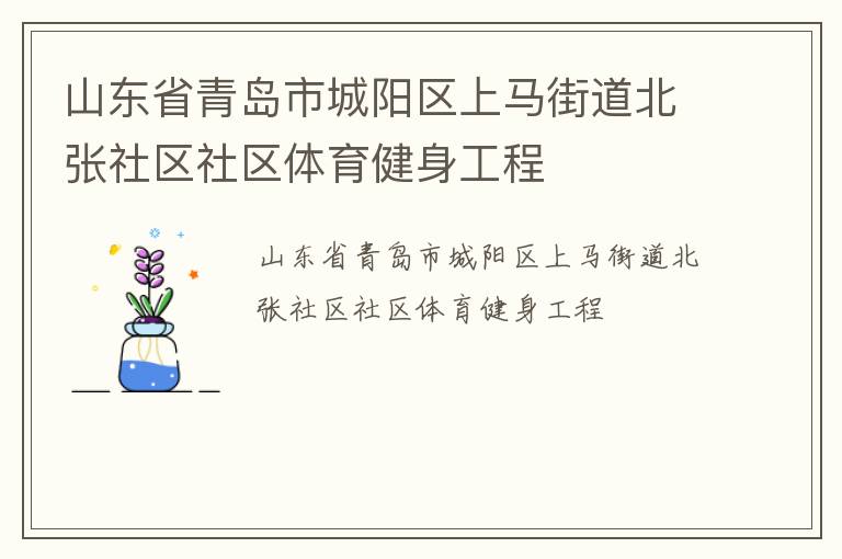 山東省青島市城陽(yáng)區(qū)上馬街道北張社區(qū)社區(qū)體育健身工程