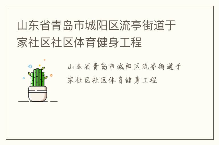 山東省青島市城陽區(qū)流亭街道于家社區(qū)社區(qū)體育健身工程