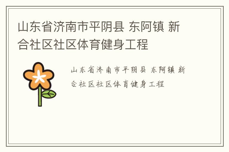 山東省濟(jì)南市平陰縣 東阿鎮(zhèn) 新合社區(qū)社區(qū)體育健身工程