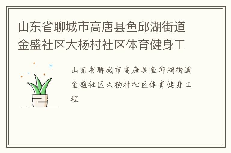 山東省聊城市高唐縣魚(yú)邱湖街道金盛社區(qū)大楊村社區(qū)體育健身工程