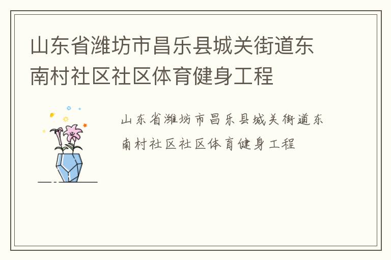 山東省濰坊市昌樂縣城關街道東南村社區(qū)社區(qū)體育健身工程