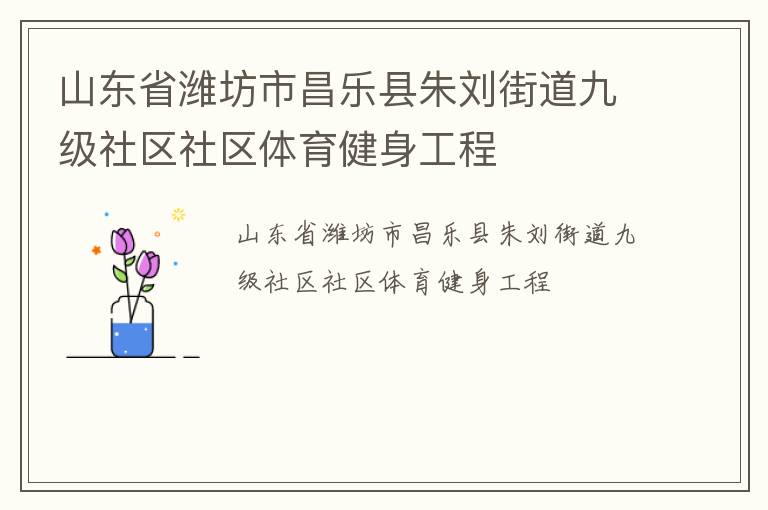 山東省濰坊市昌樂縣朱劉街道九級(jí)社區(qū)社區(qū)體育健身工程