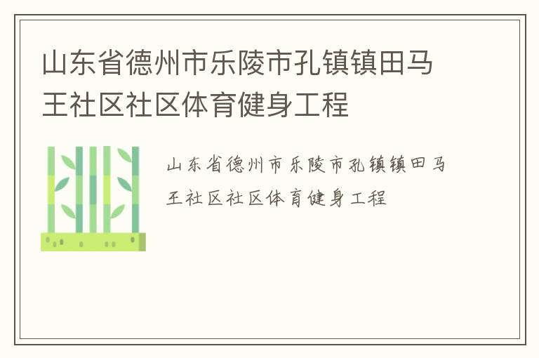 山東省德州市樂(lè)陵市孔鎮(zhèn)鎮(zhèn)田馬王社區(qū)社區(qū)體育健身工程