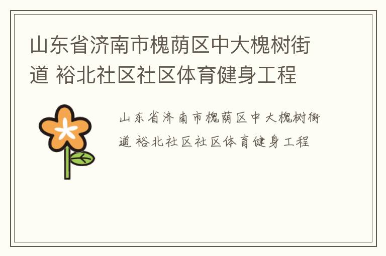 山東省濟(jì)南市槐蔭區(qū)中大槐樹(shù)街道 裕北社區(qū)社區(qū)體育健身工程