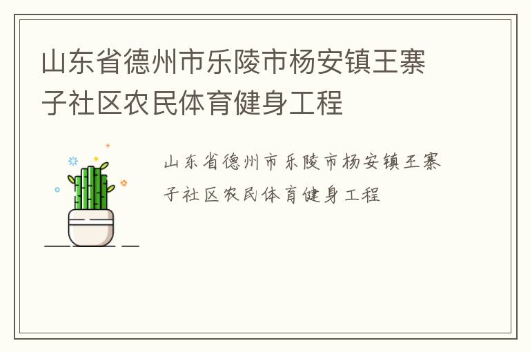 山東省德州市樂(lè)陵市楊安鎮(zhèn)王寨子社區(qū)農(nóng)民體育健身工程