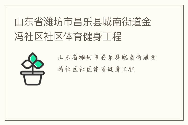 山東省濰坊市昌樂縣城南街道金馮社區(qū)社區(qū)體育健身工程