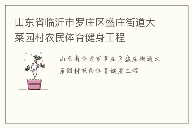 山東省臨沂市羅莊區(qū)盛莊街道大菜園村農民體育健身工程