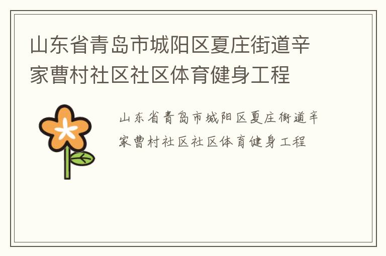 山東省青島市城陽區(qū)夏莊街道辛家曹村社區(qū)社區(qū)體育健身工程