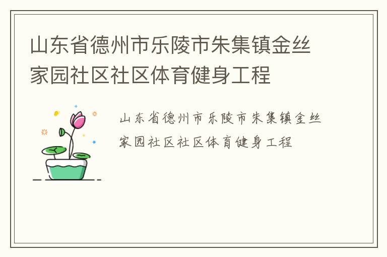 山東省德州市樂(lè)陵市朱集鎮(zhèn)金絲家園社區(qū)社區(qū)體育健身工程