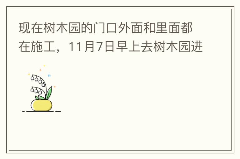 現(xiàn)在樹木園的門口外面和里面都在施工，11月7日早上去樹木園進(jìn)行戶外活動(dòng)，在出入口都是非常大的灰塵，有挖掘機(jī)等機(jī)械在施工，但是周圍都是灰塵，施工方?jīng)]有做好防塵措施，而且我們走的時(shí)候，竟然還有一個(gè)人拿著掃