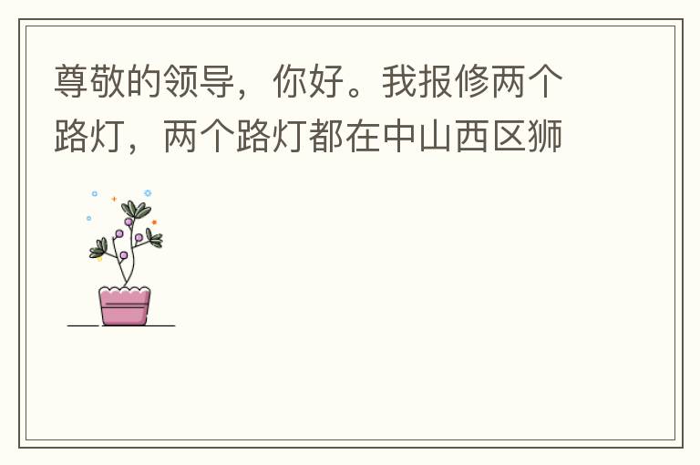 尊敬的領(lǐng)導(dǎo)，你好。我報修兩個路燈，兩個路燈都在中山西區(qū)獅滘口大橋。1.富華往濱江一號，下橋倒數(shù)第二支路燈已經(jīng)損壞。 2.濱江一號往富華方向，下橋最后一支路燈已經(jīng)損壞。麻煩及時修復(fù)，減少意外的發(fā)生。謝謝