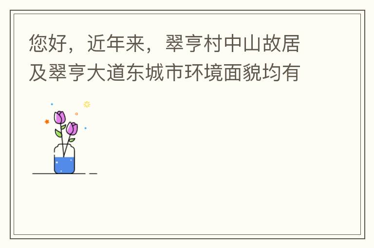 您好，近年來，翠亨村中山故居及翠亨大道東城市環(huán)境面貌均有所提升。但周邊環(huán)境仍然不夠理想，稍顯臟亂差，與5A風(fēng)景區(qū)的定位不相協(xié)調(diào)，望繼續(xù)盡快改善為宜。多謝