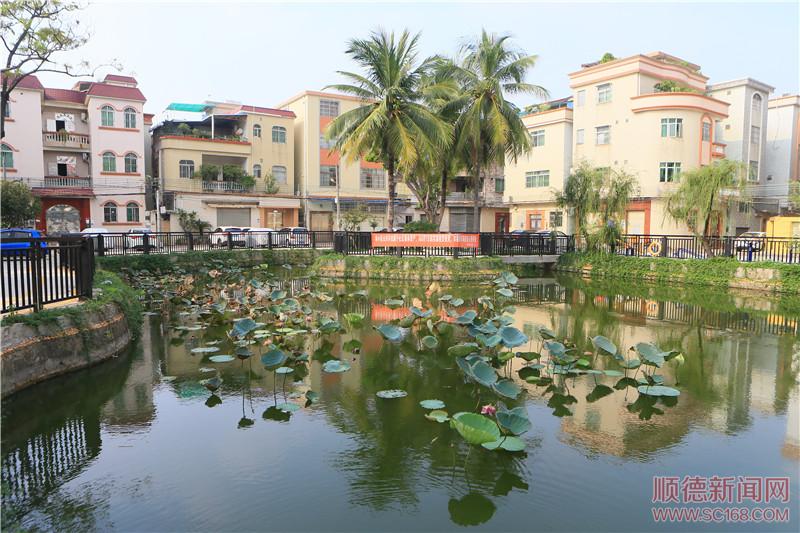 容桂南區(qū)社區(qū)持續(xù)提升人居環(huán)境，社區(qū)面貌展新顏