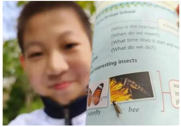 后生可畏！又有學生發(fā)現教科書錯誤，這次是上海10后！