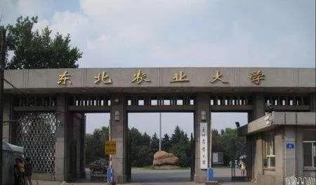 兩校合并，黑龍江將迎來一所新大學(xué)？教育廳有明確回復(fù)，值得期待