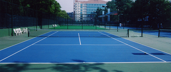<a href=http://www.pjhwys.cn target=_blank class=infotextkey>丙烯酸</a>球場廠家