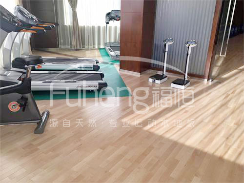 <a href=http://www.pjhwys.cn target=_blank class=infotextkey>健身</a>房木地板-10fd