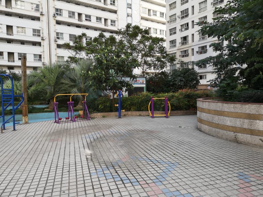 中福二居委健身點 中福二居委健身點
