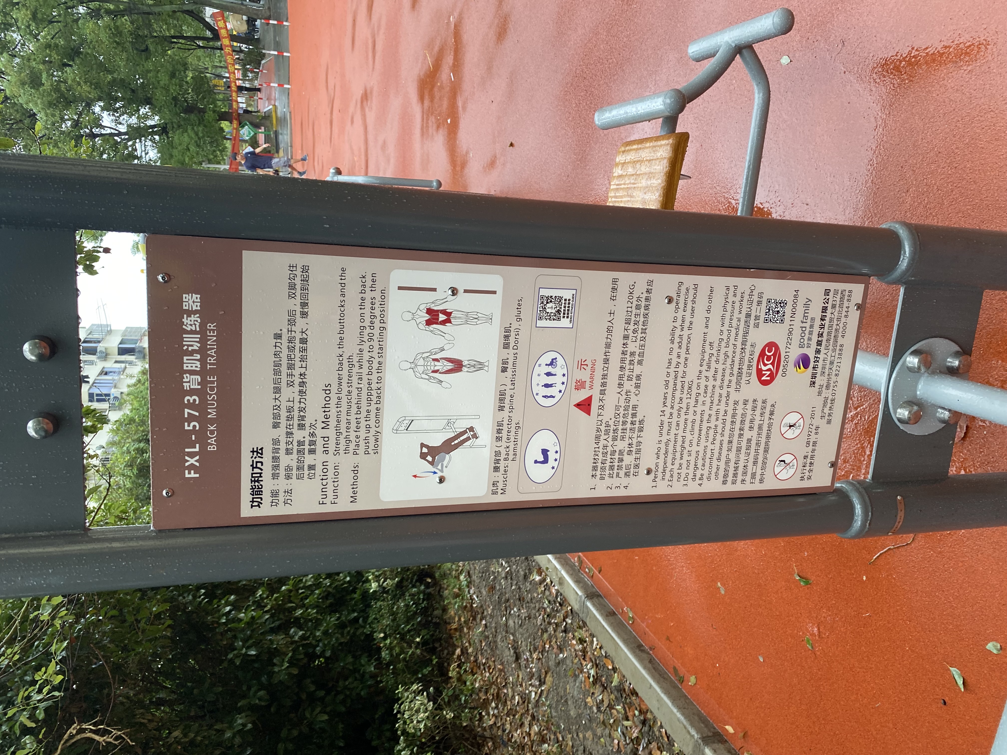 背腹肌訓(xùn)練器 背腹肌訓(xùn)練器